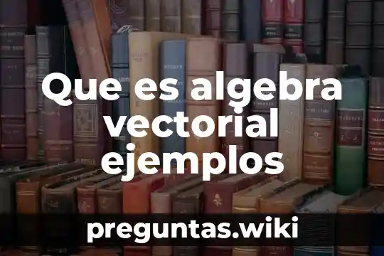 Que es algebra vectorial ejemplos
