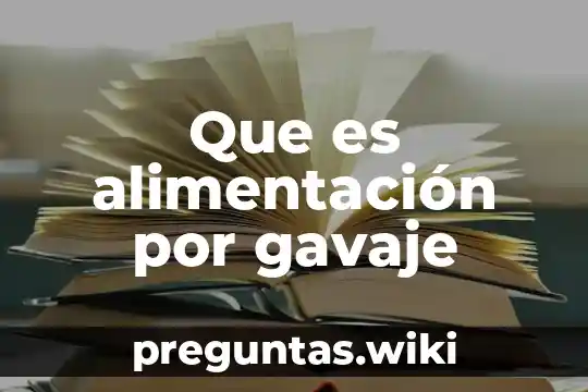 Que es alimentación por gavaje