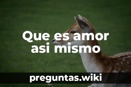 Que es amor asi mismo