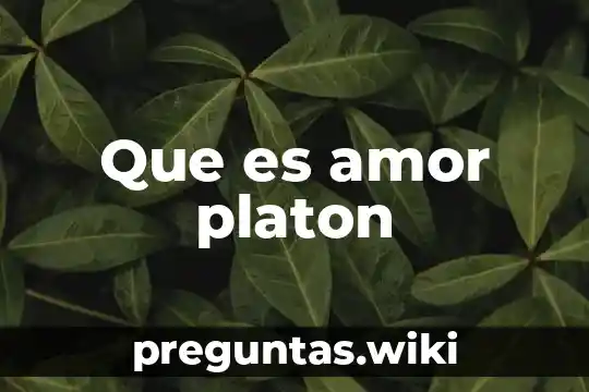 Que es amor platon