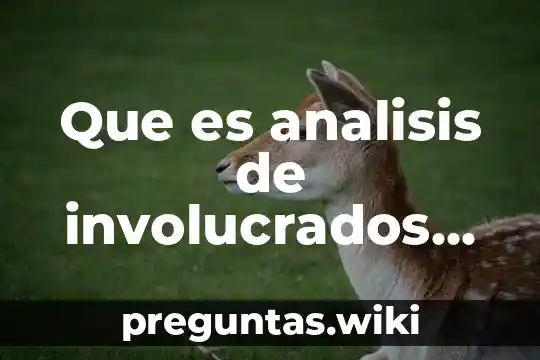 Que es analisis de involucrados en un proyecto