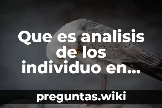 Que es analisis de los individuo en psicología social