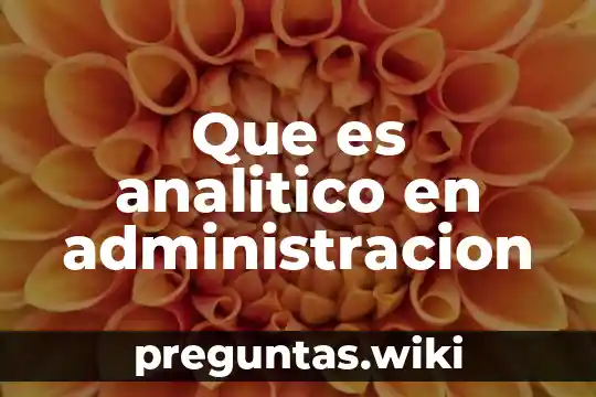 Que es analitico en administracion