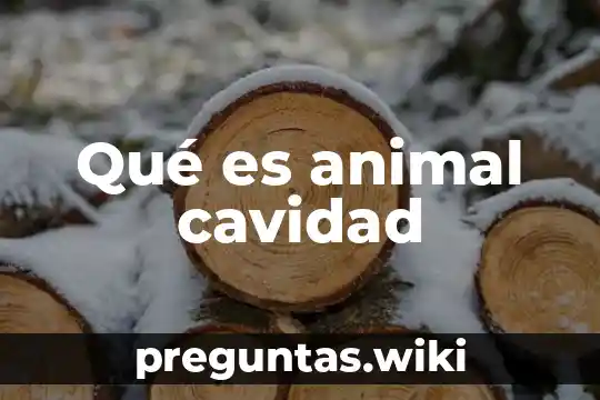 Qué es animal cavidad
