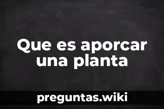 Que es aporcar una planta