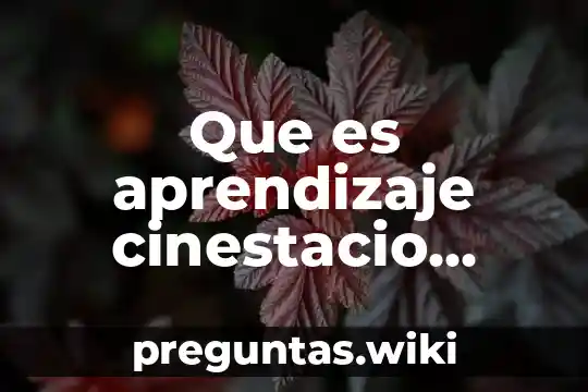 Que es aprendizaje cinestacio significado