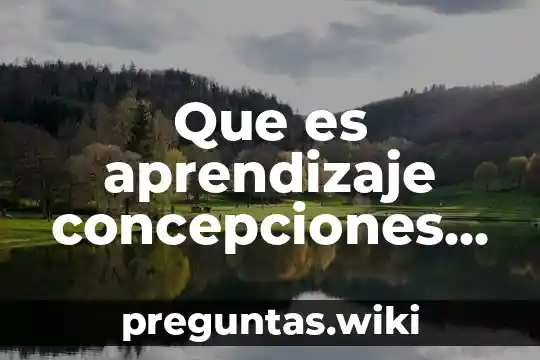 Que es aprendizaje concepciones de diferentes autores