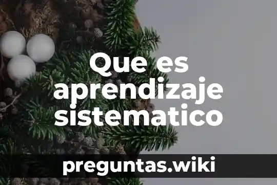 Que es aprendizaje sistematico