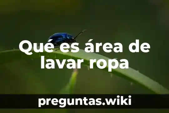Qué es área de lavar ropa