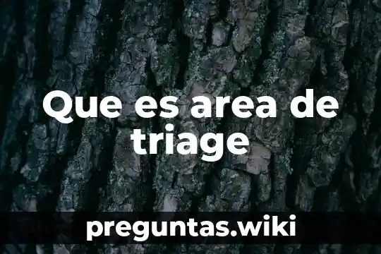 Que es area de triage