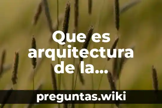 Que es arquitectura de la informacion web