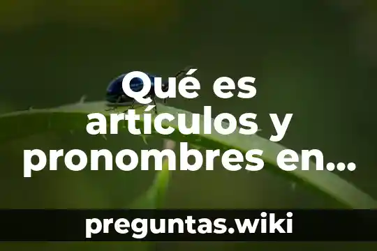 Qué es artículos y pronombres en ortografía