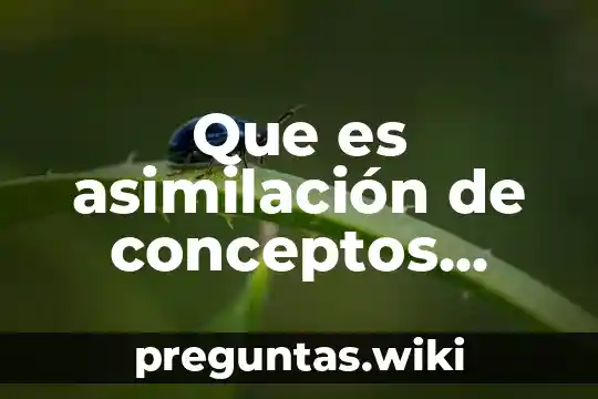 Que es asimilación de conceptos yahoo