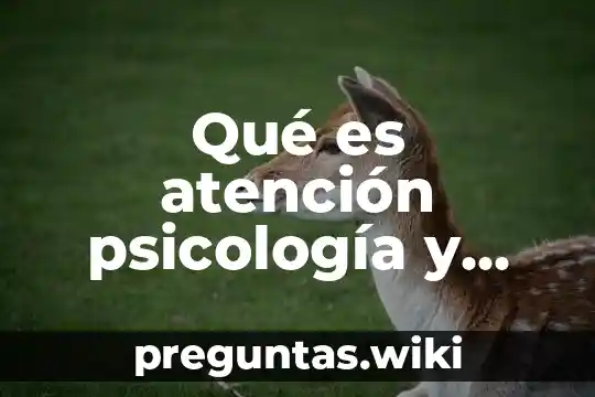Qué es atención psicología y mente