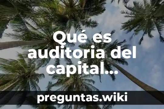 Qué es auditoria del capital humano