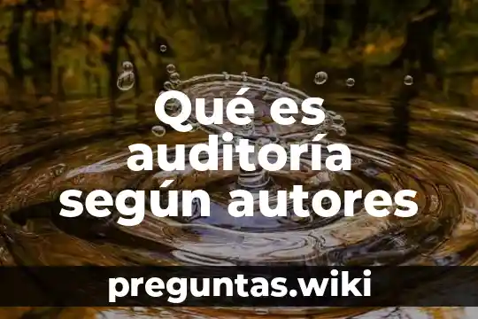 Qué es auditoría según autores