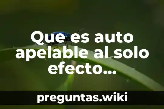Que es auto apelable al solo efecto devolutivo