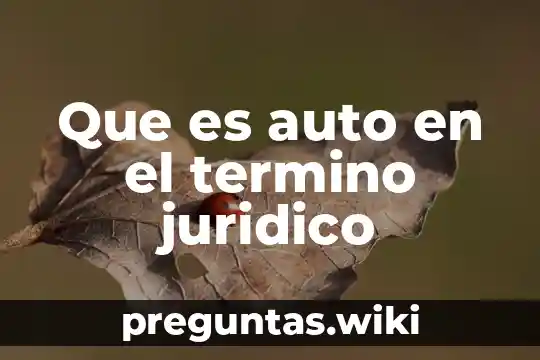 Que es auto en el termino juridico