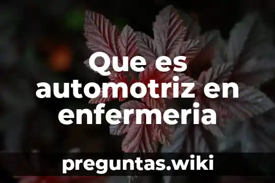 Que es automotriz en enfermeria