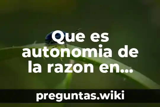 Que es autonomia de la razon en filosofia