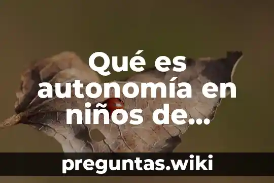 Qué es autonomía en niños de preescolar