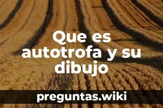 Que es autotrofa y su dibujo