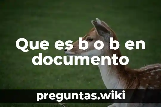 Que es b o b en documento