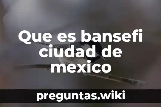 Que es bansefi ciudad de mexico