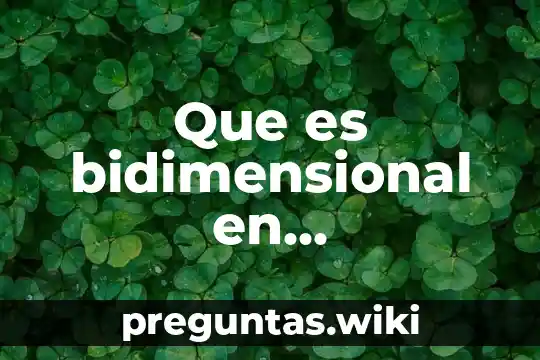 Que es bidimensional en arquitectura