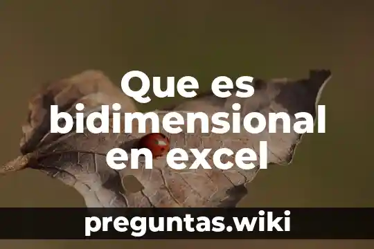 Que es bidimensional en excel