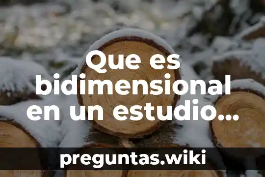 Que es bidimensional en un estudio de investigar
