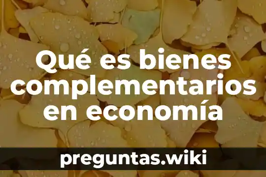 Qué es bienes complementarios en economía