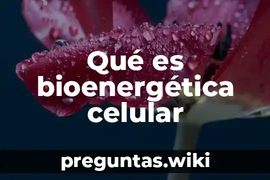 Qué es bioenergética celular