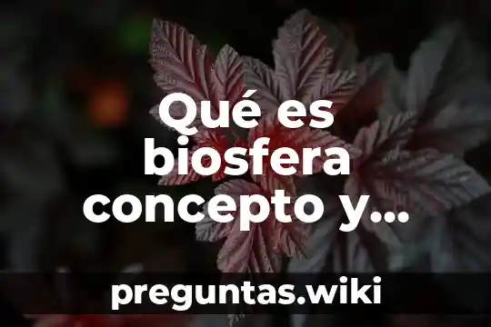 Qué es biosfera concepto y ejemplo