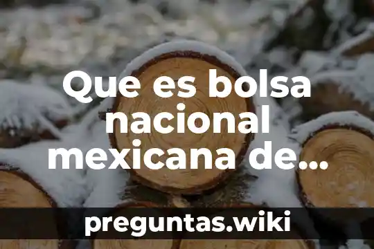 Que es bolsa nacional mexicana de valores