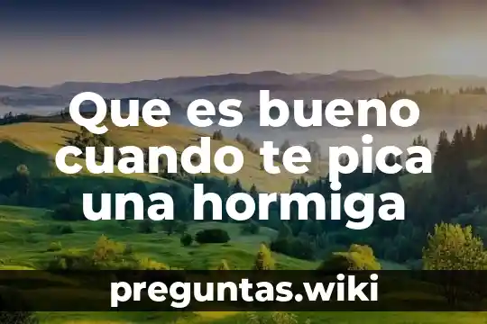 Que es bueno cuando te pica una hormiga