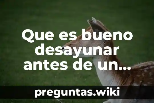 Que es bueno desayunar antes de un examen