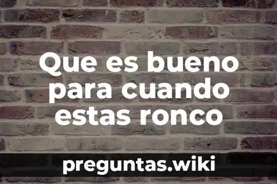 Que es bueno para cuando estas ronco