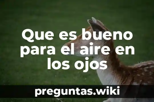 Que es bueno para el aire en los ojos
