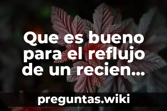 Que es bueno para el reflujo de un recien nacido