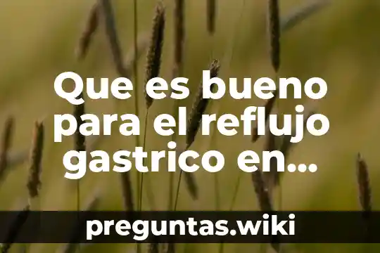 Que es bueno para el reflujo gastrico en adultos