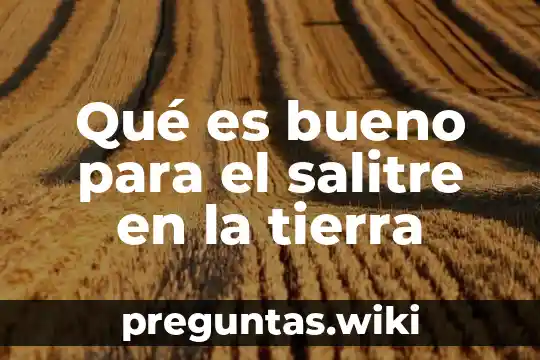Qué es bueno para el salitre en la tierra