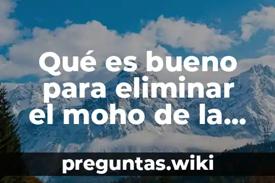 Qué es bueno para eliminar el moho de la casa