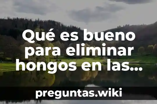 Qué es bueno para eliminar hongos en las uñas
