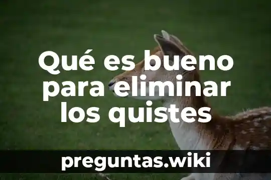 Qué es bueno para eliminar los quistes