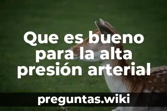 Que es bueno para la alta presión arterial