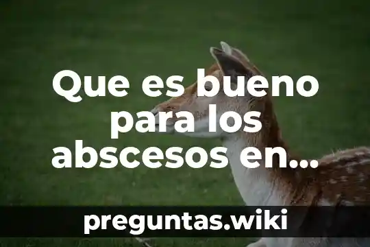 Que es bueno para los abscesos en las encias
