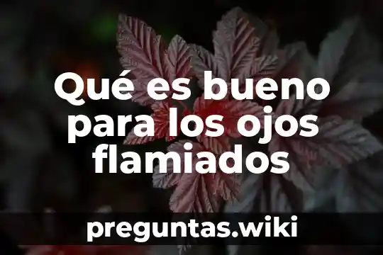 Qué es bueno para los ojos flamiados