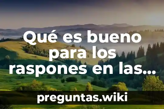 Qué es bueno para los raspones en las rodillas