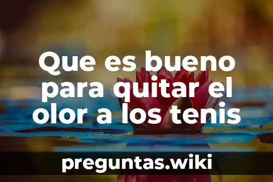 Que es bueno para quitar el olor a los tenis